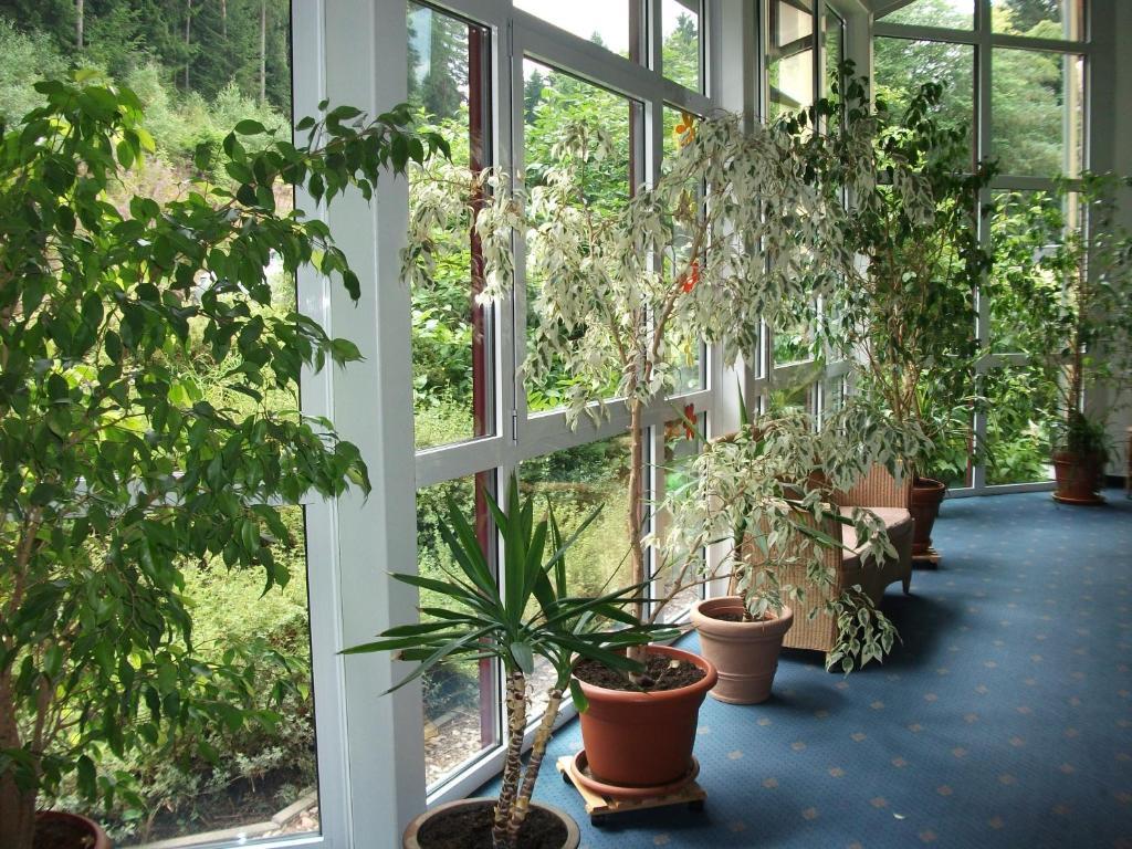 Hotel Am Wald -Garni- Elgersburg المظهر الخارجي الصورة
