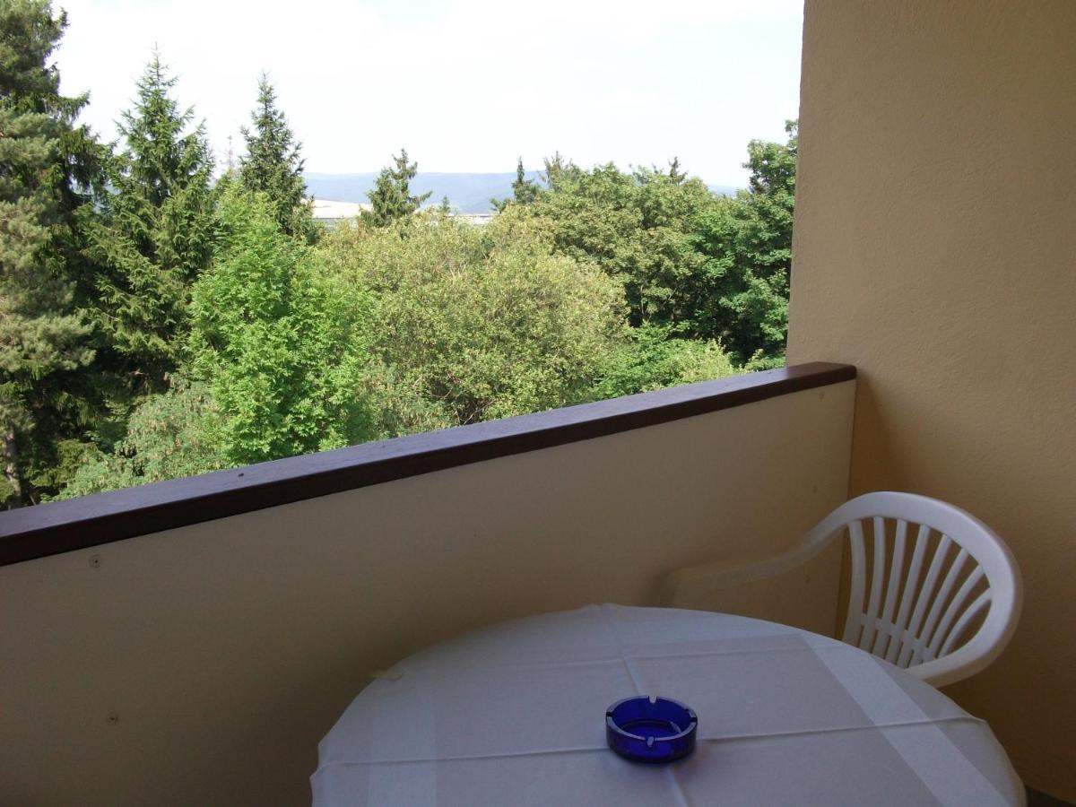 Hotel Am Wald -Garni- Elgersburg المظهر الخارجي الصورة